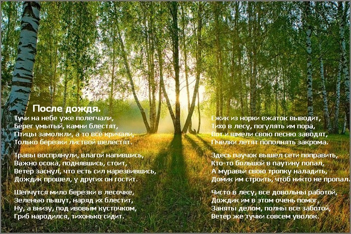 После дождя После дождя