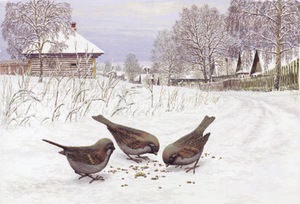 Воробьи Воробьи