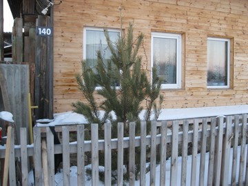 Кликнуть для увеличения